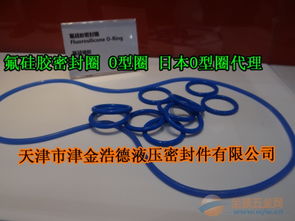 氟硅膠o型圈天津現貨,fvmq氟硅膠o型圈藍色氟膠密封圈批發